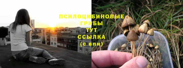 синтетический гашиш Арсеньев